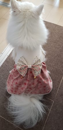 はるさんの作品