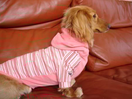 COCOままさんの作品