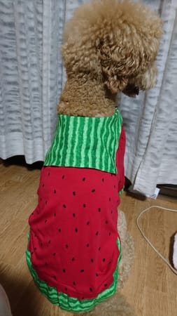 びすさんの作品