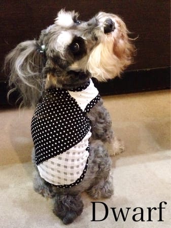 Dwarfさんの作品