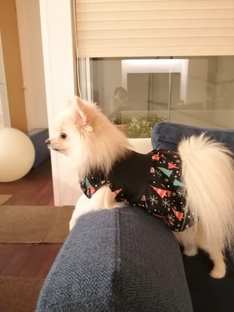 にこママさんの作品