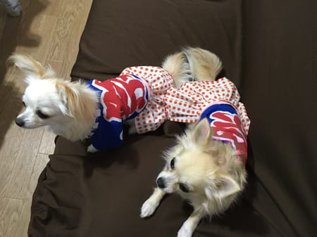 もこもこさんの作品