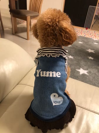 しのさんの作品