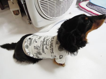 ライさんの作品