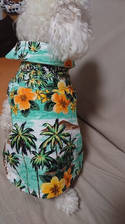 ぽんりんさんの作品