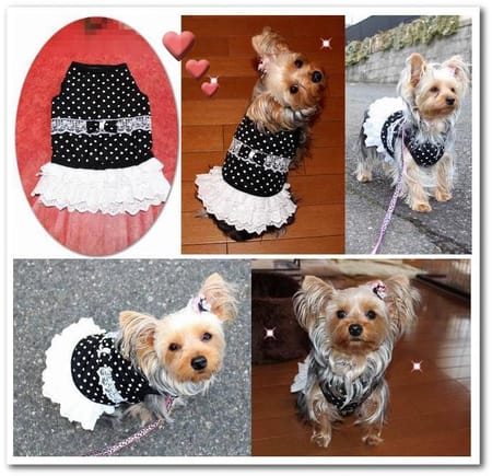 なおまろんさんの作品