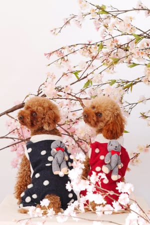 shimaさんの作品