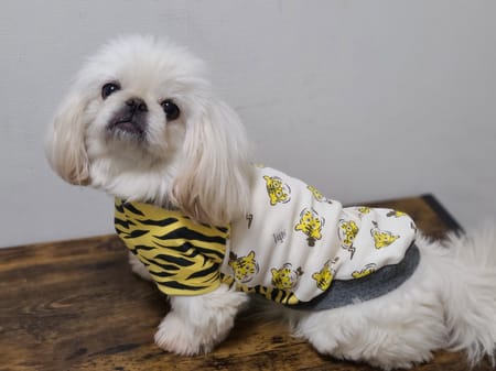 おとしらママさんの作品