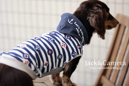 akizoo88さんの作品