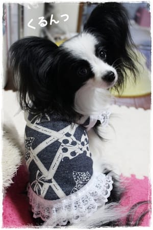 依音さんの作品