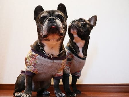 ちびっこさんの作品