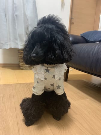 あねごさんの作品