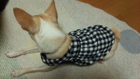 tenderwind+Kさんの作品