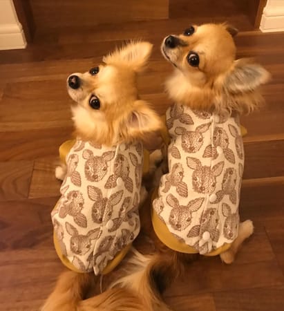 anirokitchenさんの作品