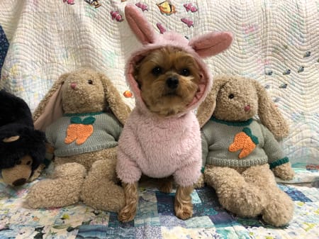 Keyakiさんの作品