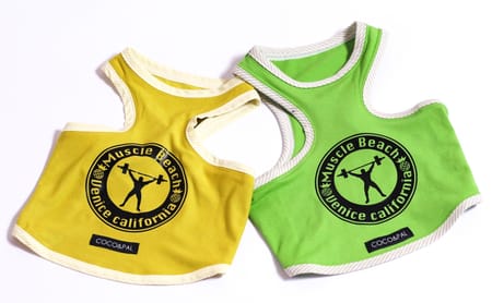 Princessmiyaさんの作品