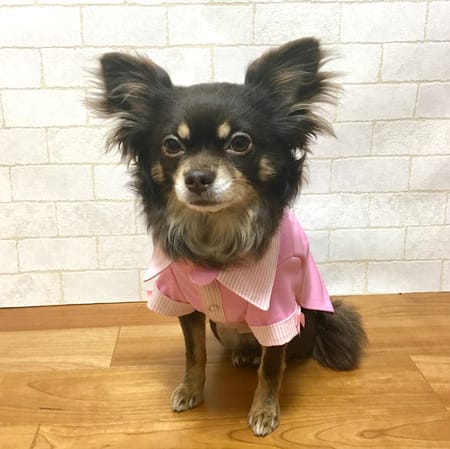 ゆずさんの作品