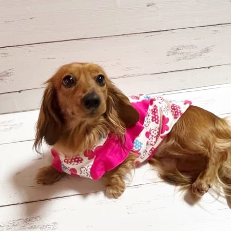 たまちゃんさんの作品