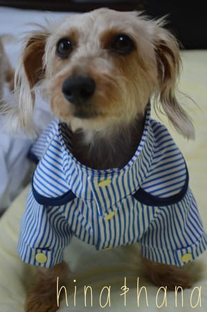 ひなはなさんの作品