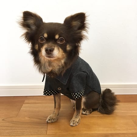 ゆずさんの作品