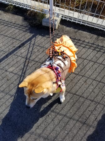 mizukiakiraさんの作品