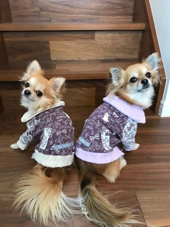 anirokitchenさんの作品