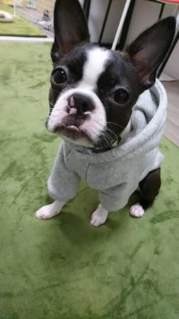 ☆☆☆さんの作品