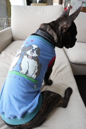 ちびっこさんの作品