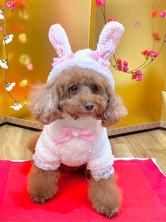 ひめさんの作品