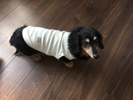 noechanさんの作品