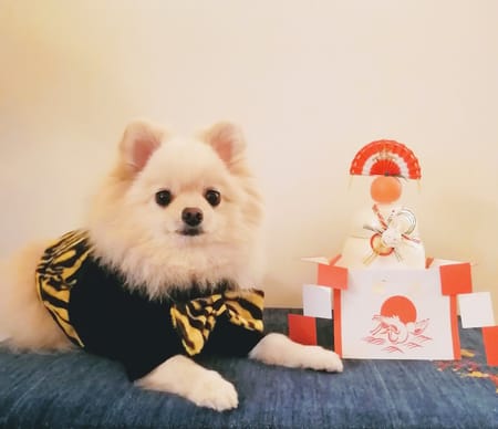 にこママさんの作品