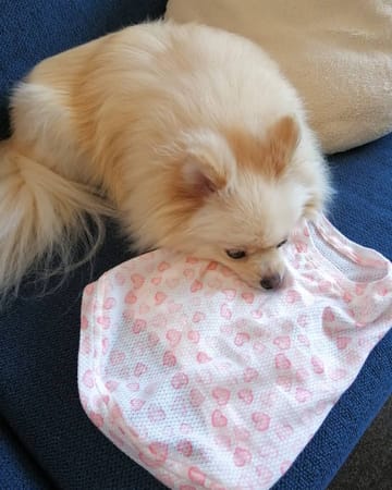 にこママさんの作品