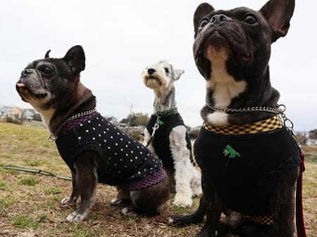 ちびっこさんの作品