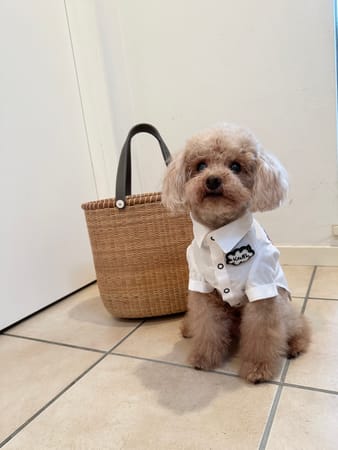 karlmamaさんの作品