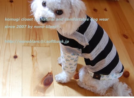 こむぎさんの作品