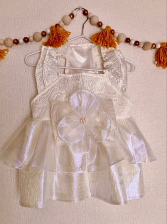 ユウさんの作品