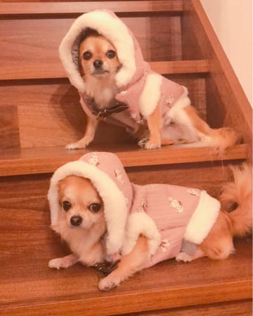 anirokitchenさんの作品