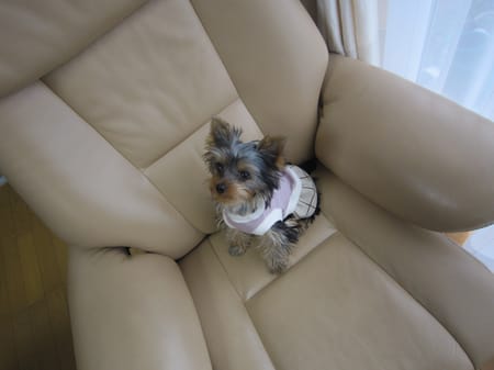 やすべえさんの作品