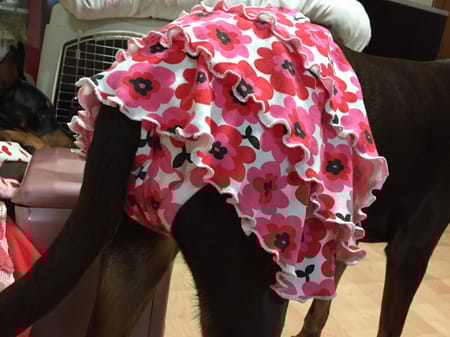 Aliceさんの作品