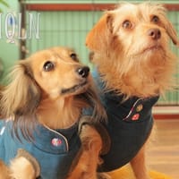 whipwhipさんの作品