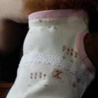 luce*さんの作品