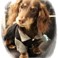 akizoo88さんの作品