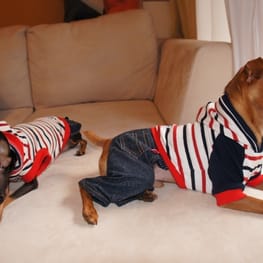 レーサーバック・バッククロスタンク