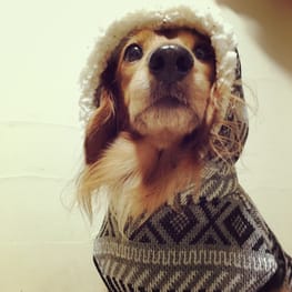 ベーシックタンクトップ&Tシャツ