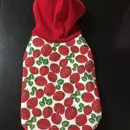 バックオープンベスト