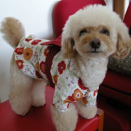 ダウンジャケット