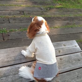 ベーシックタンクトップ&Tシャツ