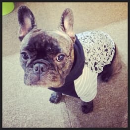 パーカー/トレーナー