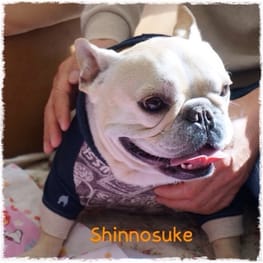 パーカー/トレーナー