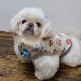 バルーンブラウス